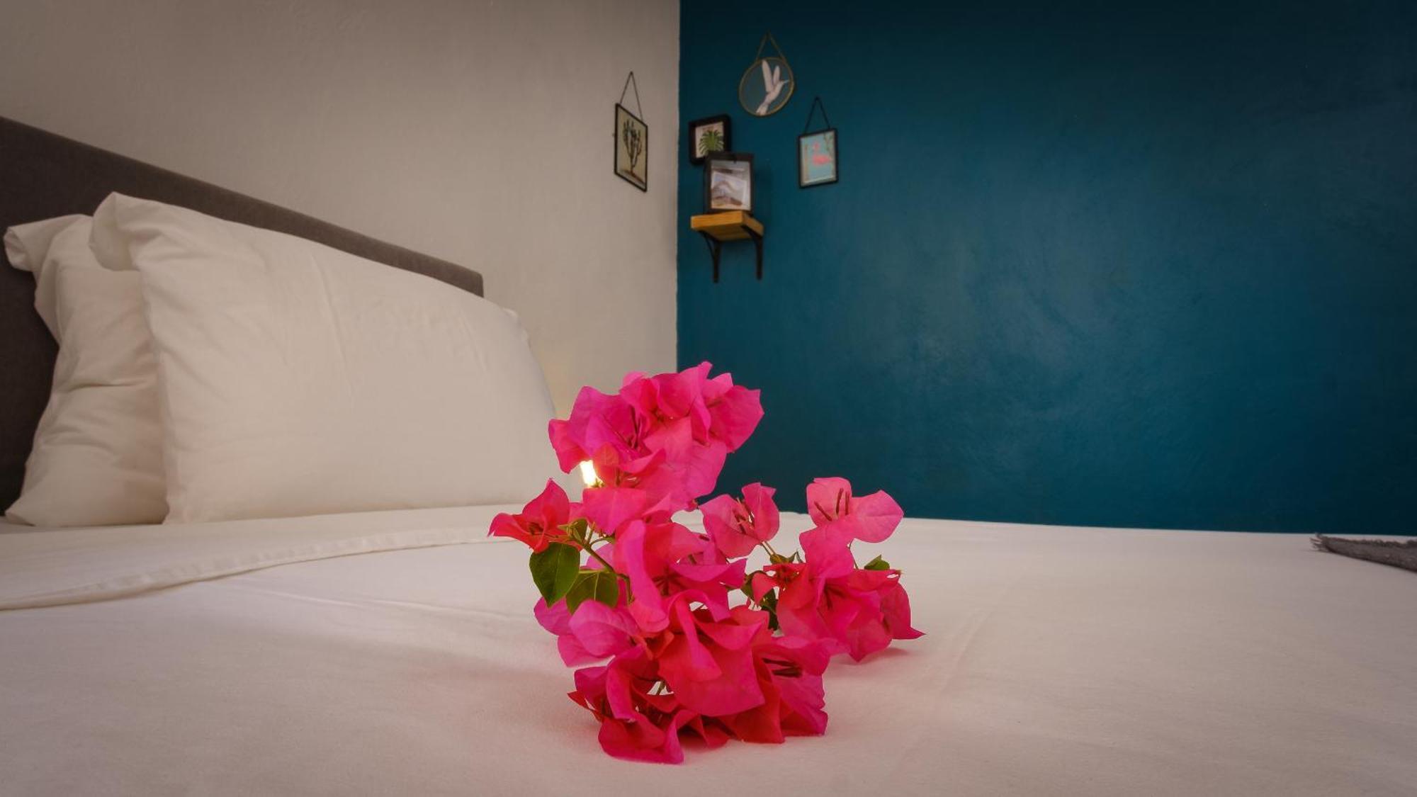 Saint Joris A Tiny Boutique Resort Willemstad Exterior photo